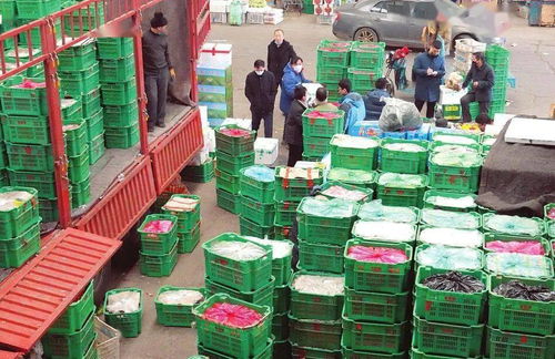太原河西農(nóng)副產(chǎn)品市場(chǎng) 菜籃子貨豐價(jià)穩(wěn)，保障民生供給