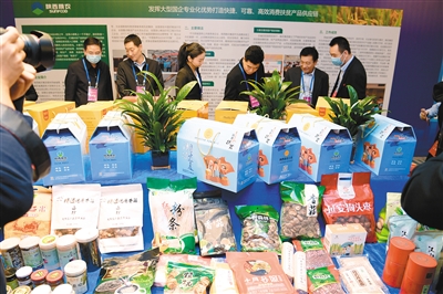 南車腰村首屆農(nóng)副產(chǎn)品推介會(huì) 豐收盛宴與精彩晚會(huì)共慶鄉(xiāng)村新篇章