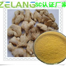 農副產品加工廠 專注姜類產品，推動產業升級