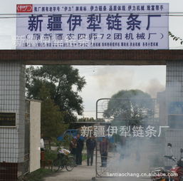 新疆伊犁鏈條廠 立足邊疆，服務農業的鏈條專家