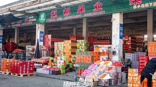 658畝大型商業(yè)地塊亮相，揚州這一區(qū)域展現(xiàn)農副產品流通新野心