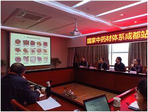 四川省農(nóng)業(yè)科學(xué)院 國(guó)家中藥材體系成都試驗(yàn)站川芎育種與栽培技術(shù)研討會(huì)成功舉行