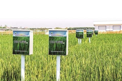 省農(nóng)科院鄂州基地 現(xiàn)代科技賦能，感受農(nóng)業(yè)發(fā)展的堅實底氣