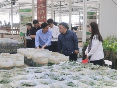 深入調(diào)研謀發(fā)展 院地合作促振興——花溪區(qū)委常委、組織部部長張楠一行蒞臨我院調(diào)研座談