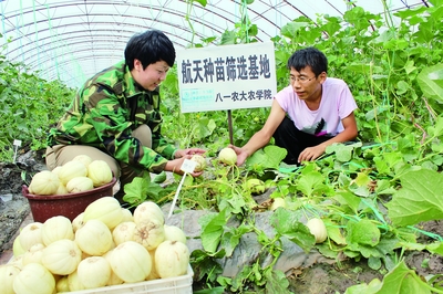 十三五開局之年 經(jīng)濟(jì)社會發(fā)展平穩(wěn)，農(nóng)業(yè)科研試驗發(fā)展邁出新步伐