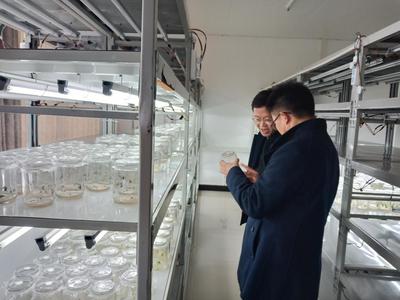 科技賦能鄉(xiāng)村振興 市科技局深入科研院所調(diào)研農(nóng)業(yè)科研工作