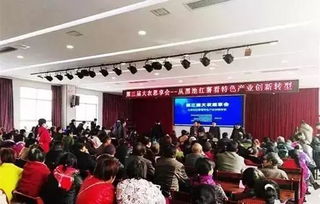 權(quán)威專(zhuān)家解讀 紅薯生產(chǎn)種植的關(guān)鍵要點(diǎn)與科學(xué)管理