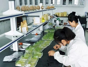 中農立華董事長蘇毅 以“種子+農藥”業務協同發展引領農業科學新未來